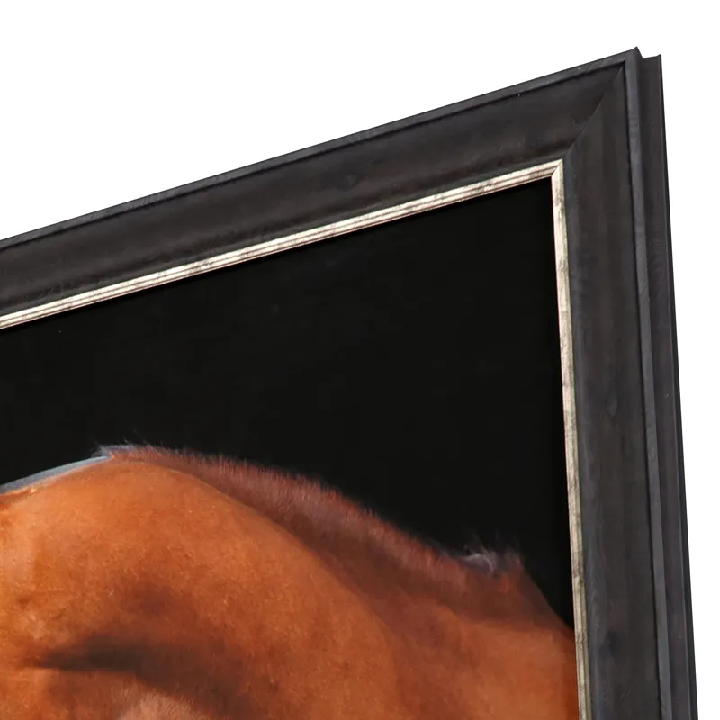 Jack the Horse Framed Art
