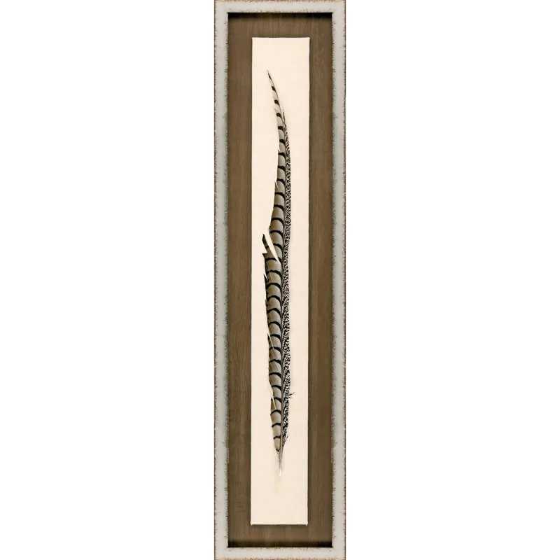 Lady Amhurst Feather Framed Art
