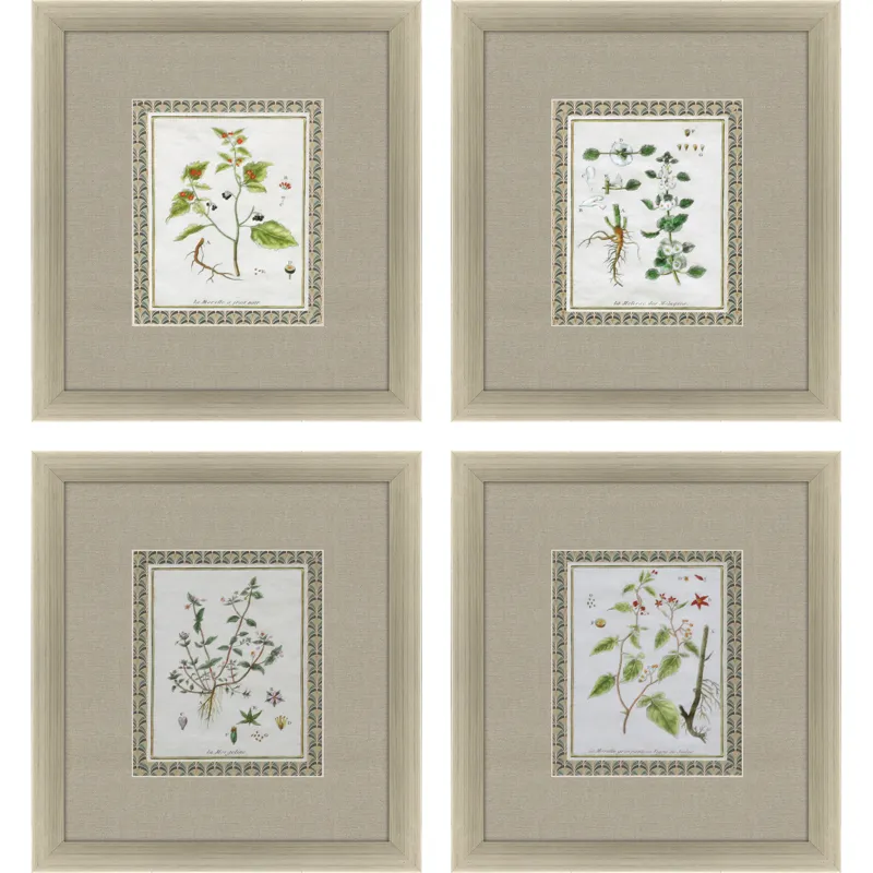 La Passerage II S/4 Framed Art