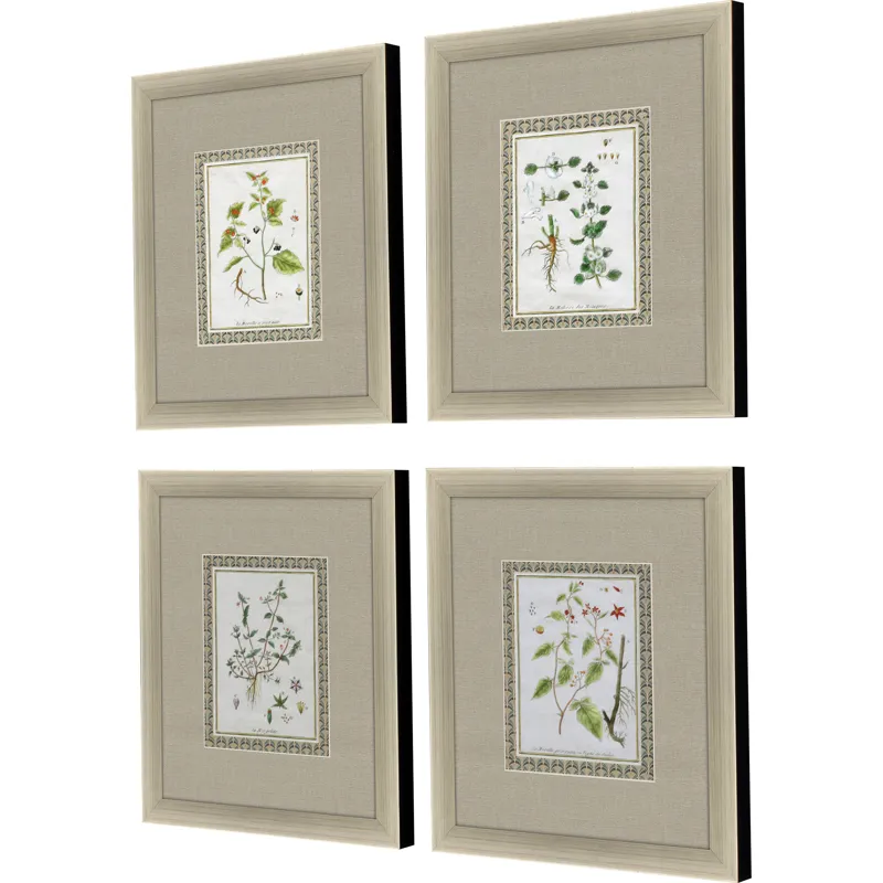 La Passerage II S/4 Framed Art