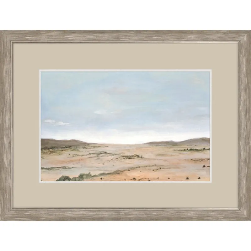 Arid Vista II Framed Art