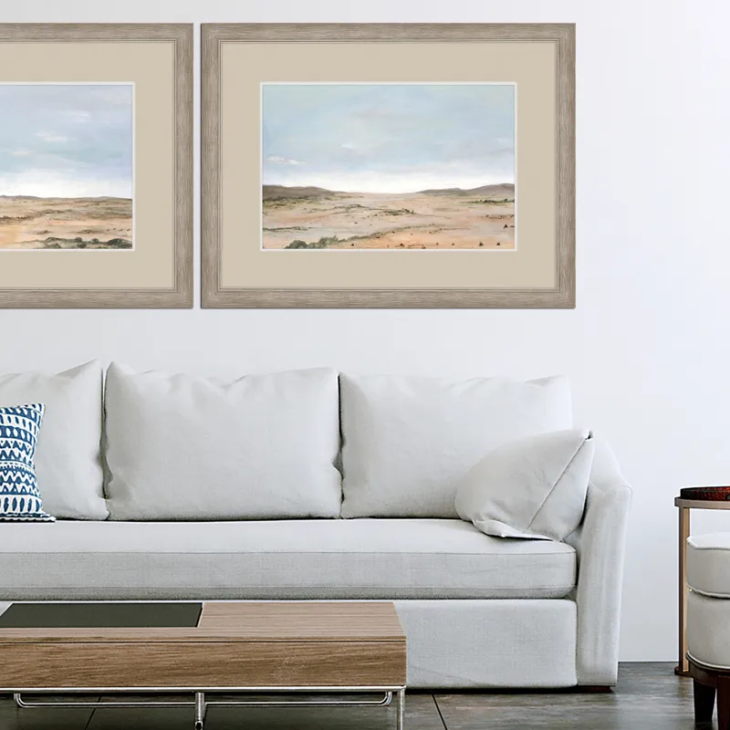 Arid Vista II Framed Art