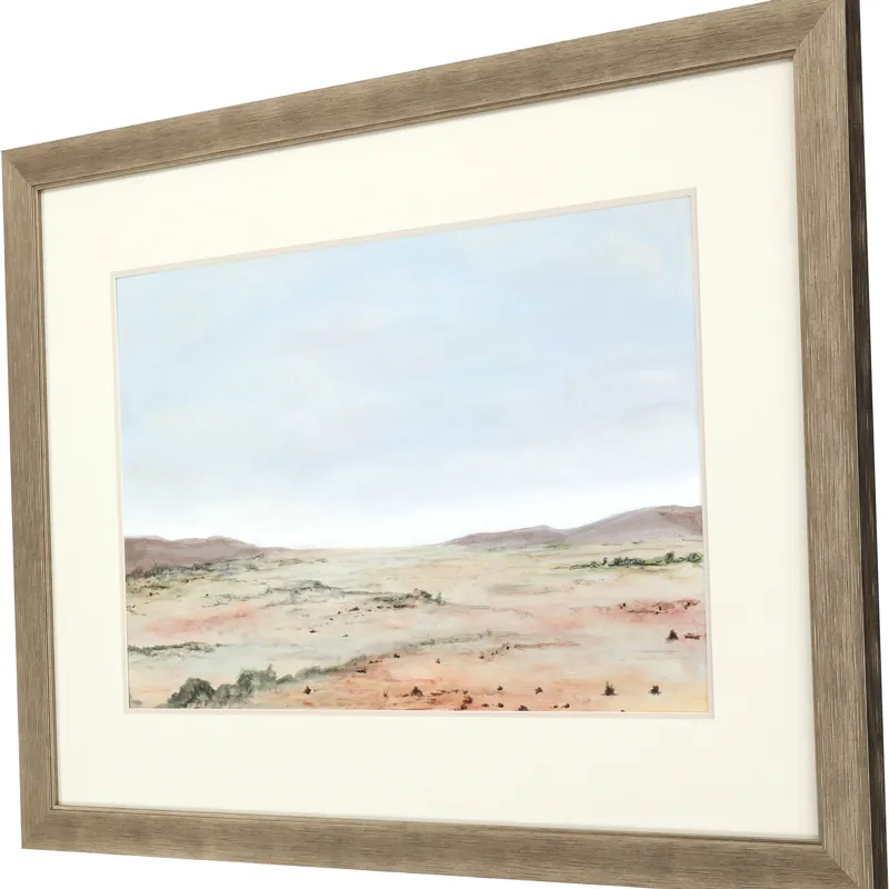 Arid Vista II Framed Art