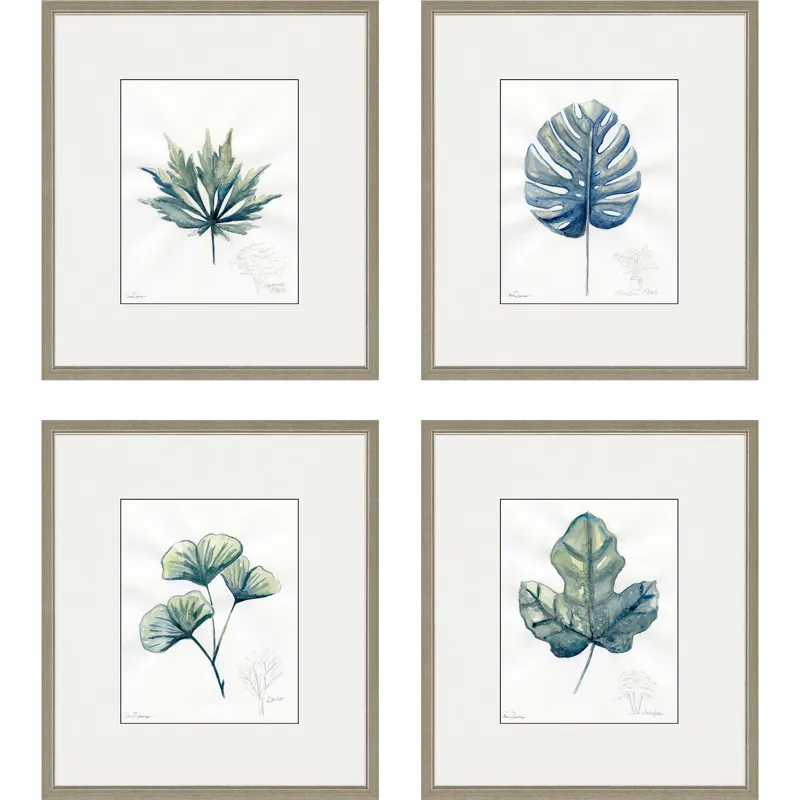 Plant Drawings S/4 Framed Art