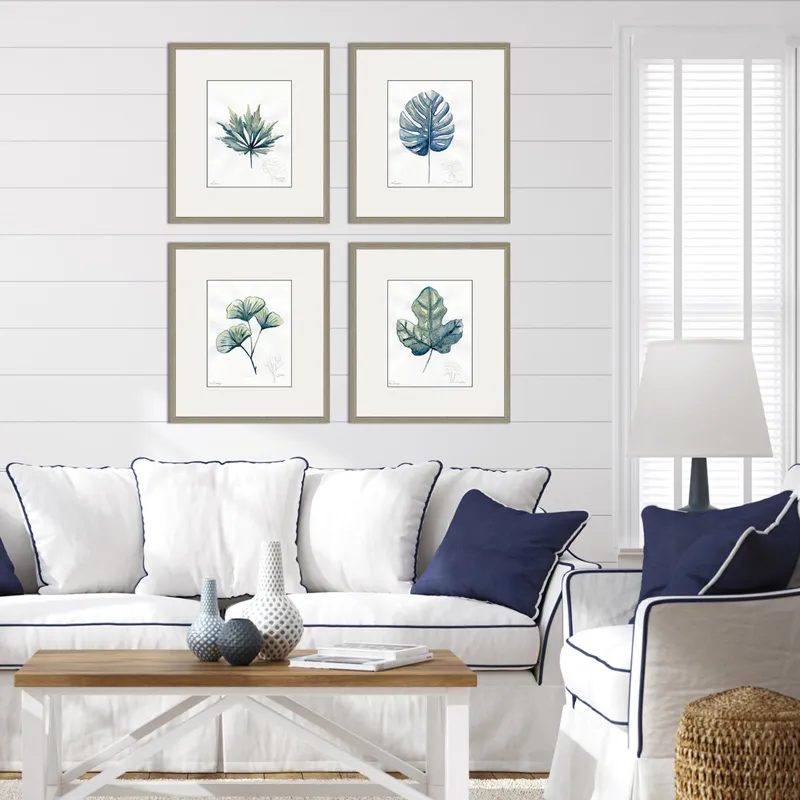 Plant Drawings S/4 Framed Art