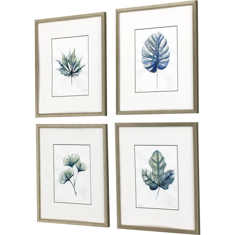 Plant Drawings S/4 Framed Art