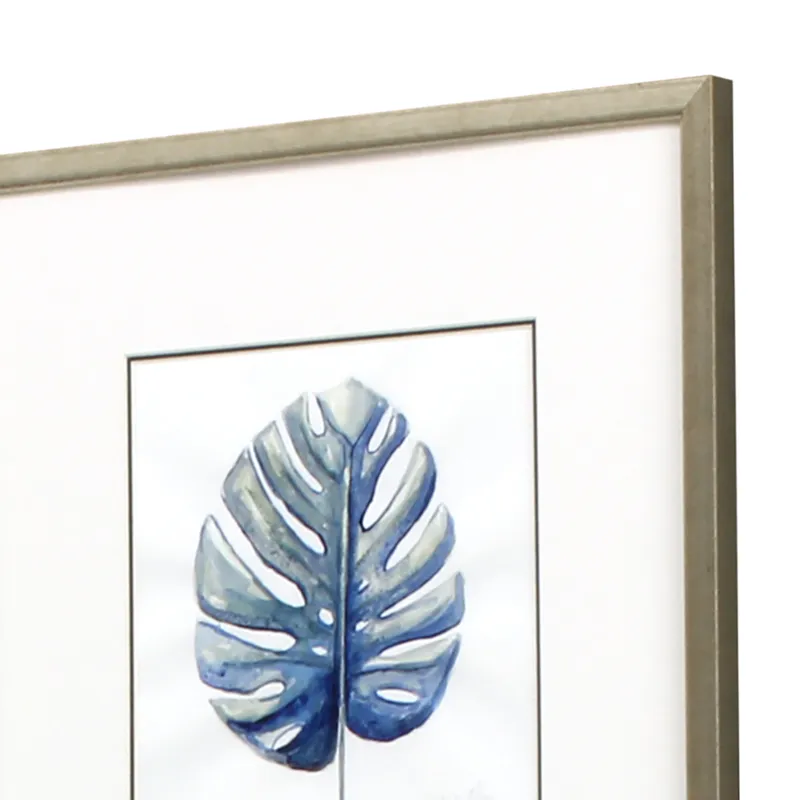 Plant Drawings S/4 Framed Art