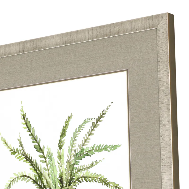 Fern House I Framed Art