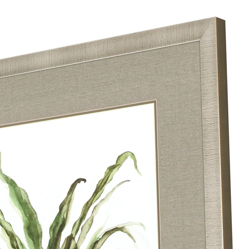 Fern House II Framed Art