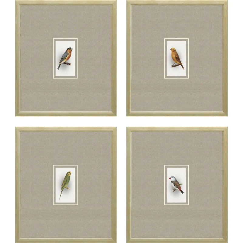 Here Birdie I S/4 Framed Art
