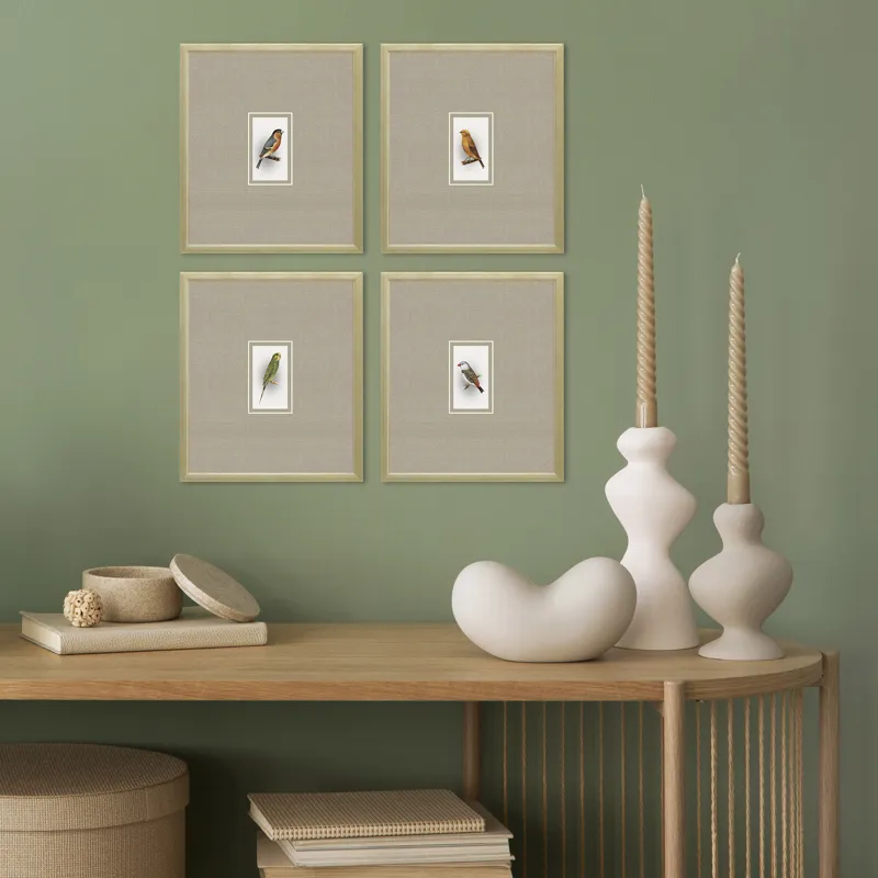 Here Birdie I S/4 Framed Art