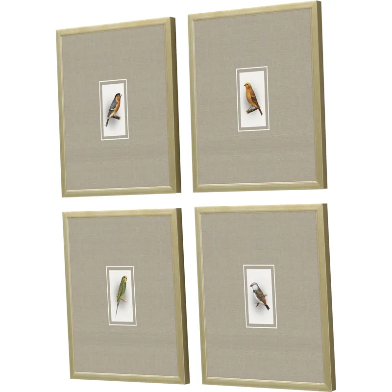 Here Birdie I S/4 Framed Art