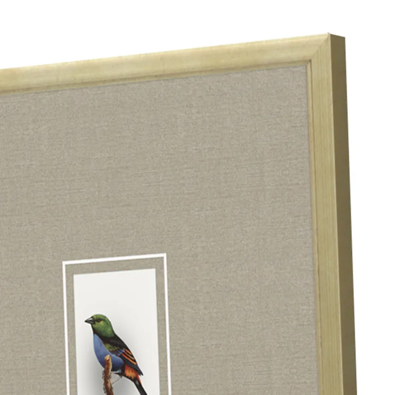 Here Birdie II S/4 Framed Art