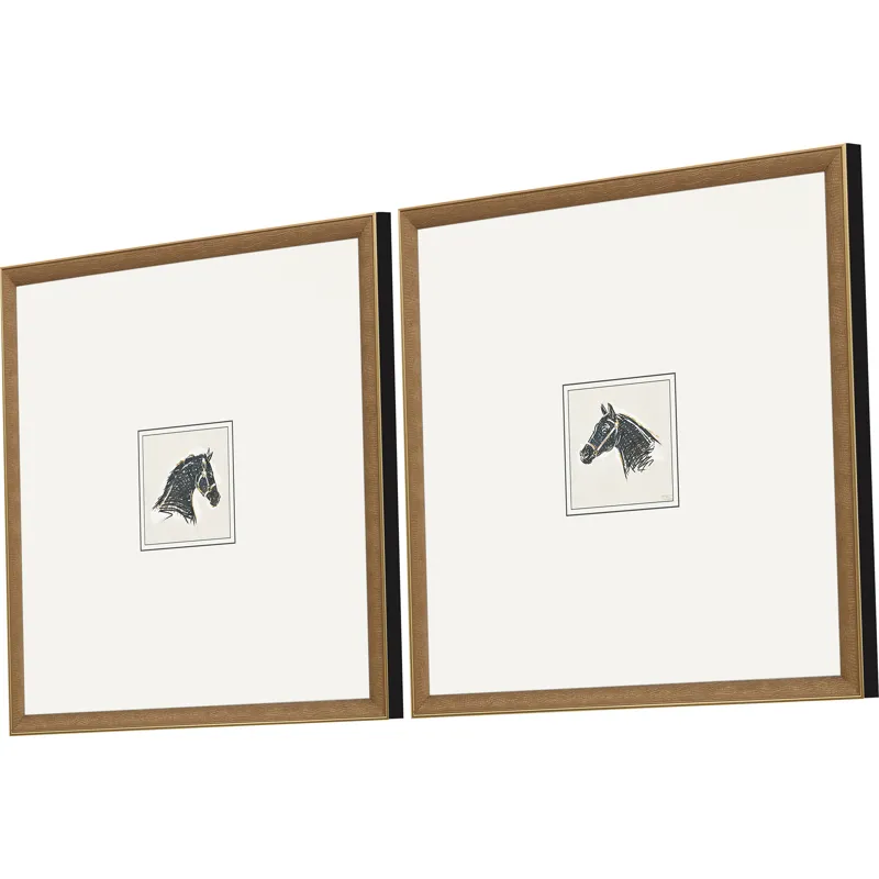 Equestrian Study S/2 Framed Art
