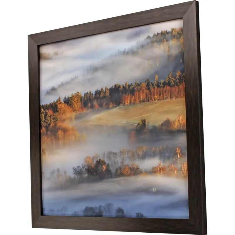 Reverie at Dawn Framed Art
