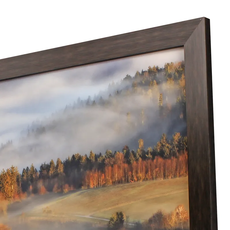 Reverie at Dawn Framed Art