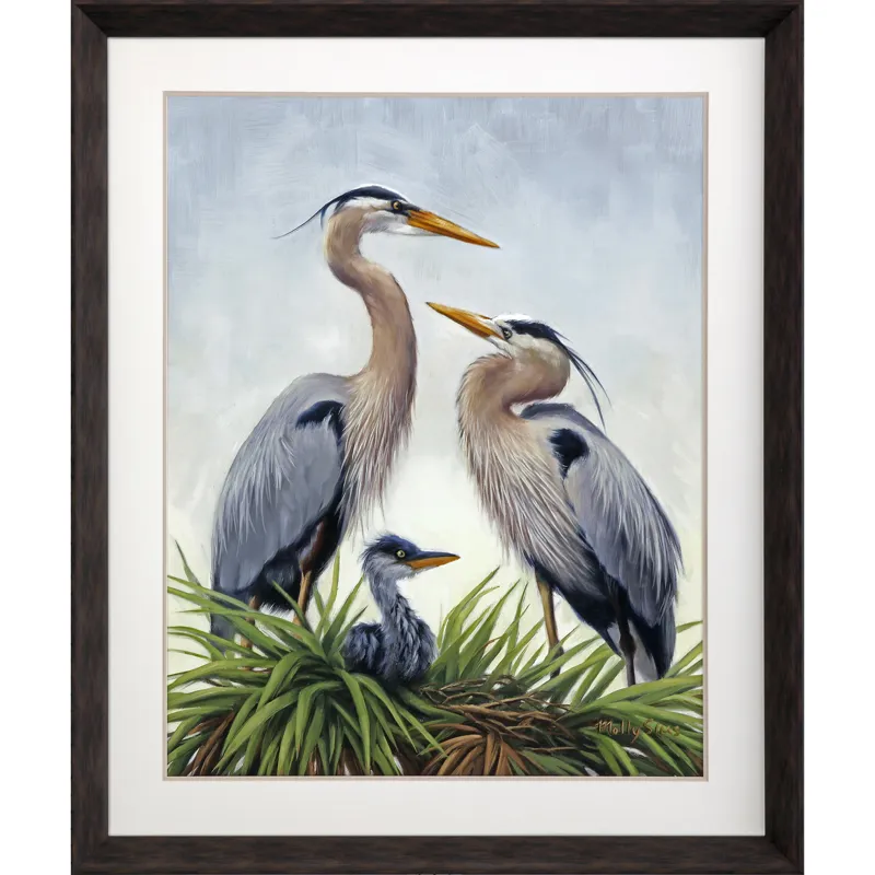 Young Heron Family Framed Art