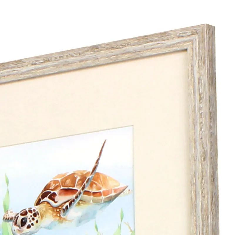 Sea Turtle Reef S/4 Framed Art