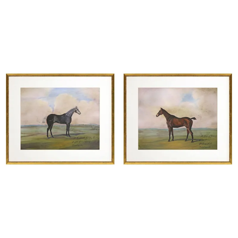 Equestrian II S/2 Framed Art