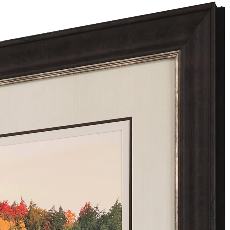 Brilliant Fall I Framed Art