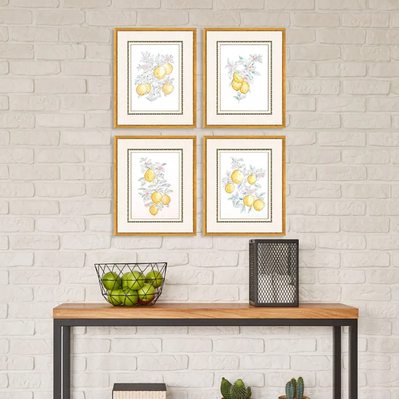 Citrus Fresh S/4 Framed Art