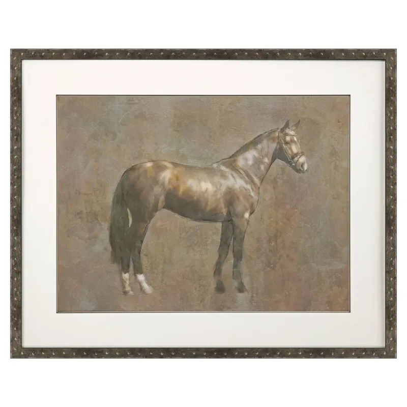 Majestic Horse I Framed Art