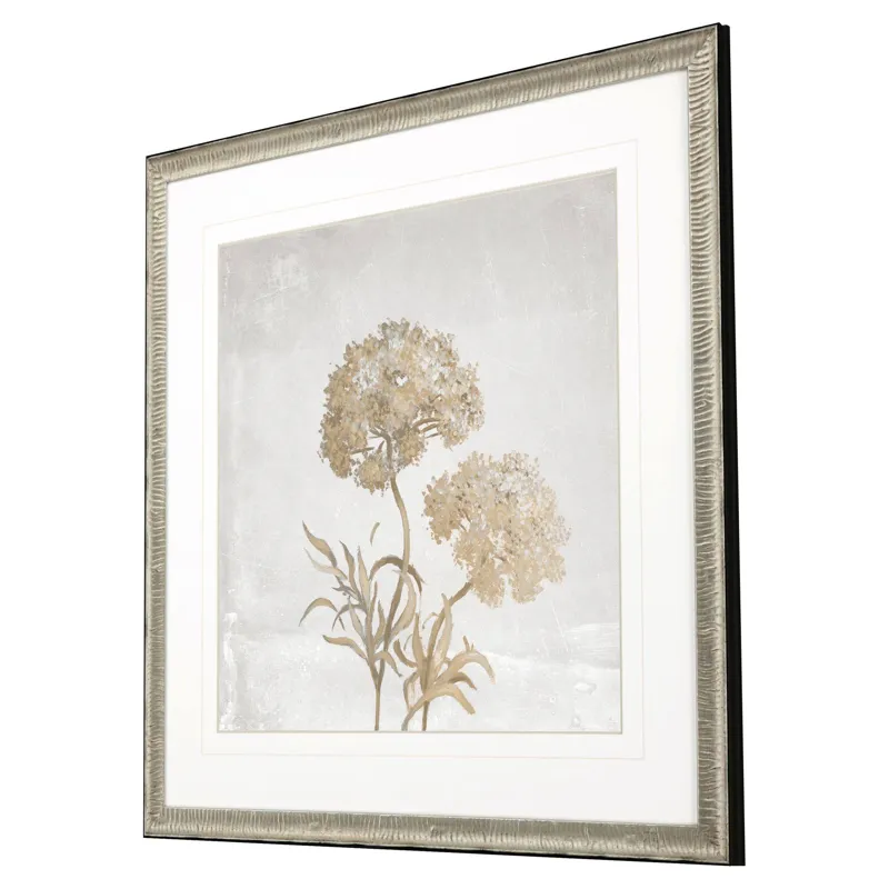 Delicate Beauty I Framed Art