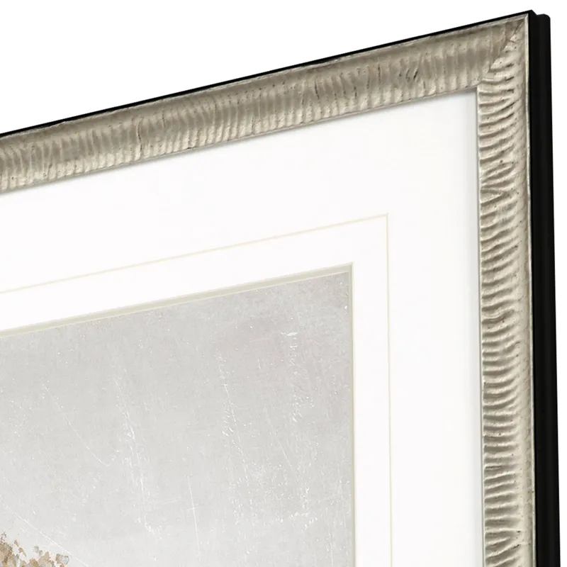 Delicate Beauty I Framed Art