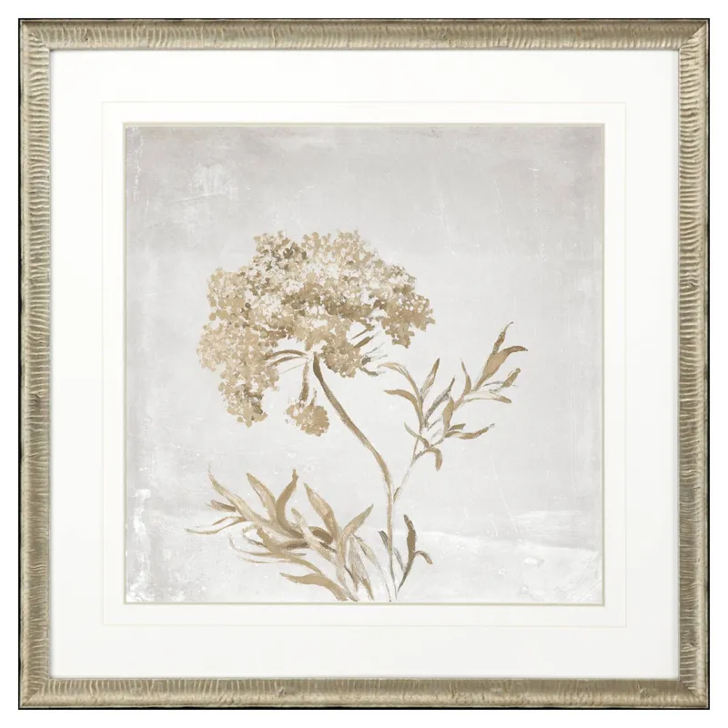 Delicate Beauty II Framed Art