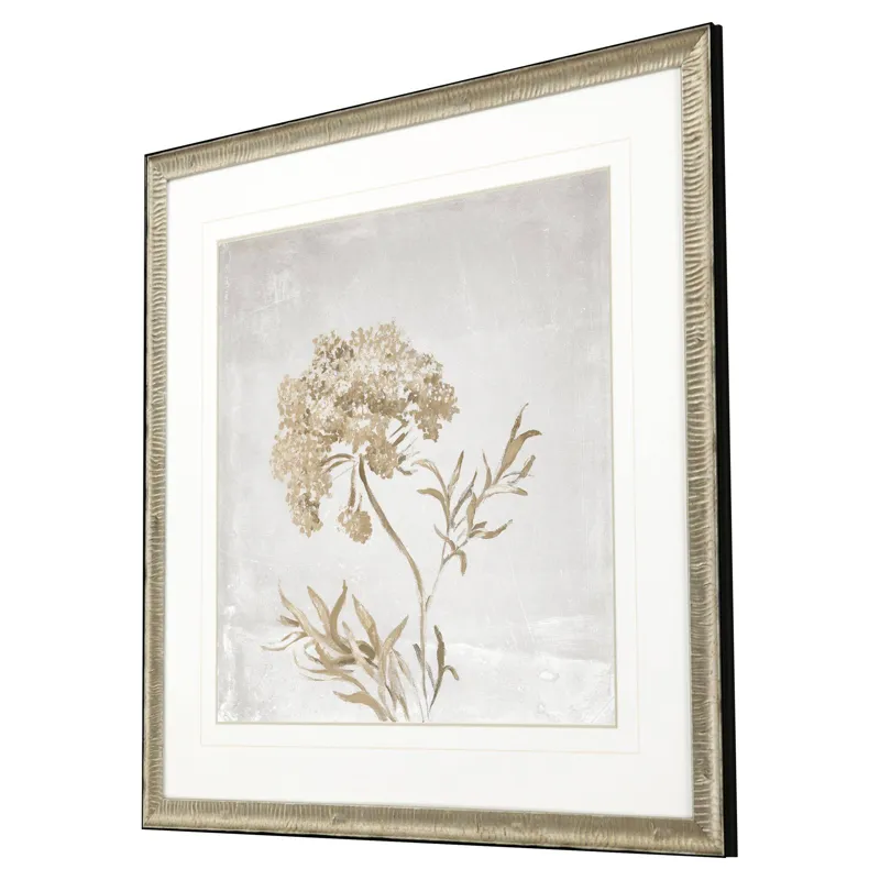 Delicate Beauty II Framed Art