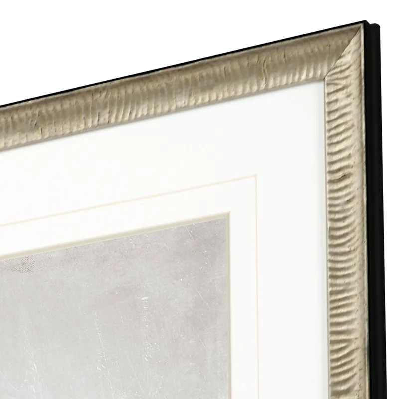 Delicate Beauty II Framed Art
