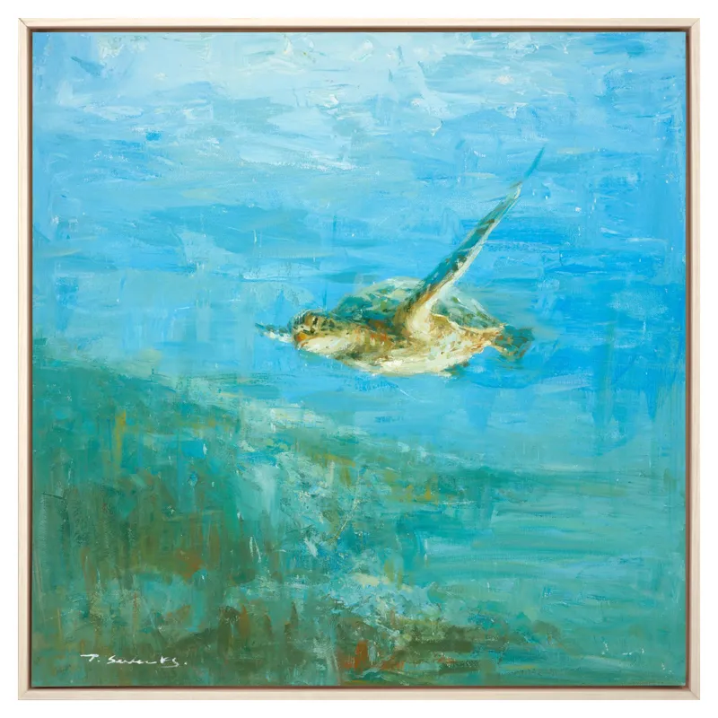 Sea Turtle Framed Art