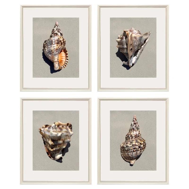 Tiger Shell S/4 Framed Art