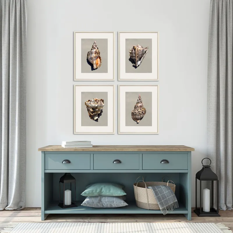 Tiger Shell S/4 Framed Art