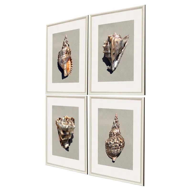 Tiger Shell S/4 Framed Art