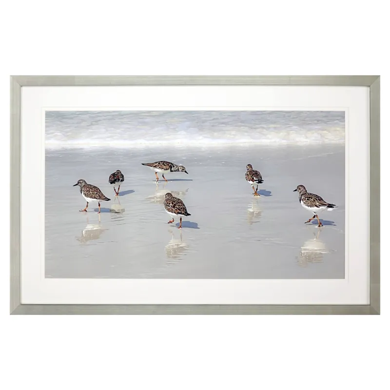 Sandpiper Reflections Framed Art
