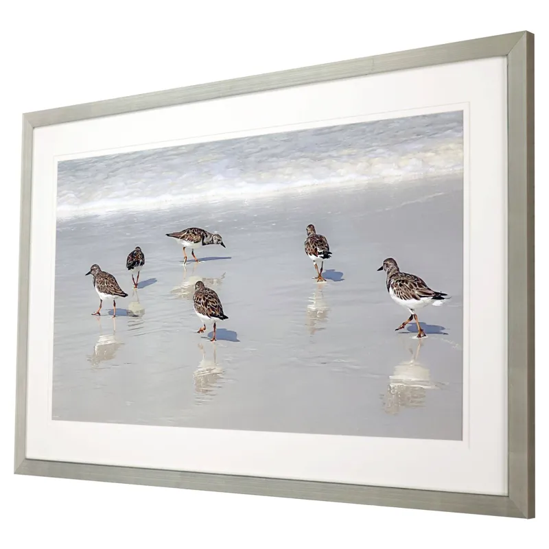 Sandpiper Reflections Framed Art