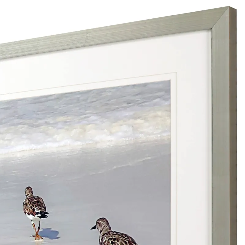 Sandpiper Reflections Framed Art