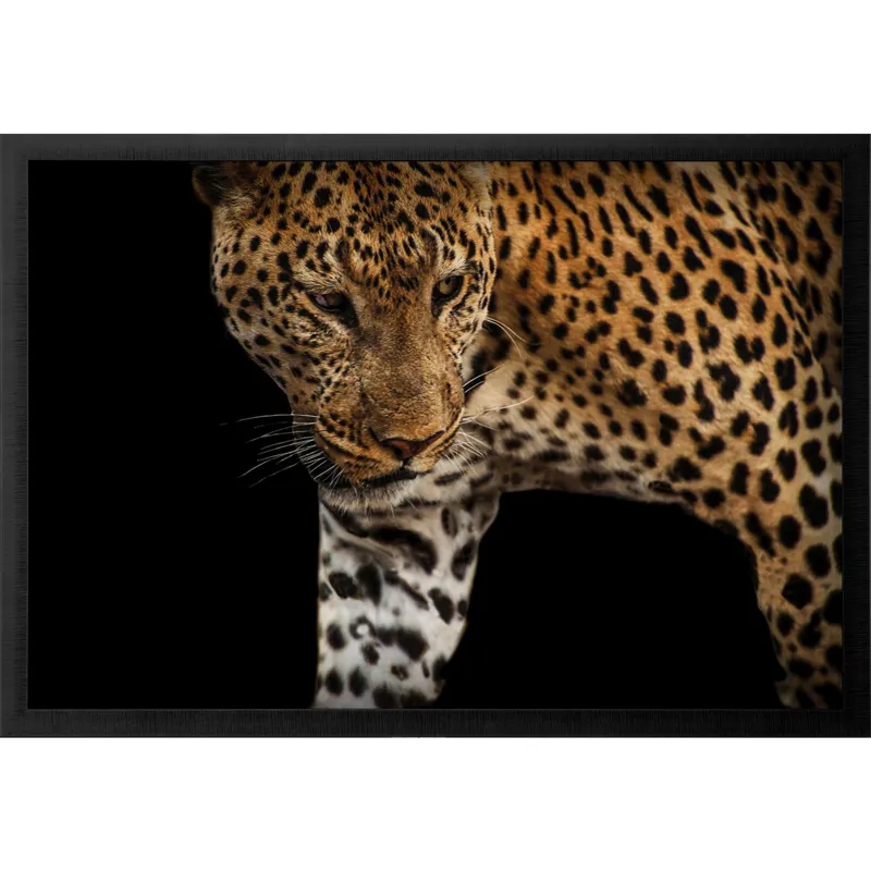 African Leopard - Stalk Framed Art