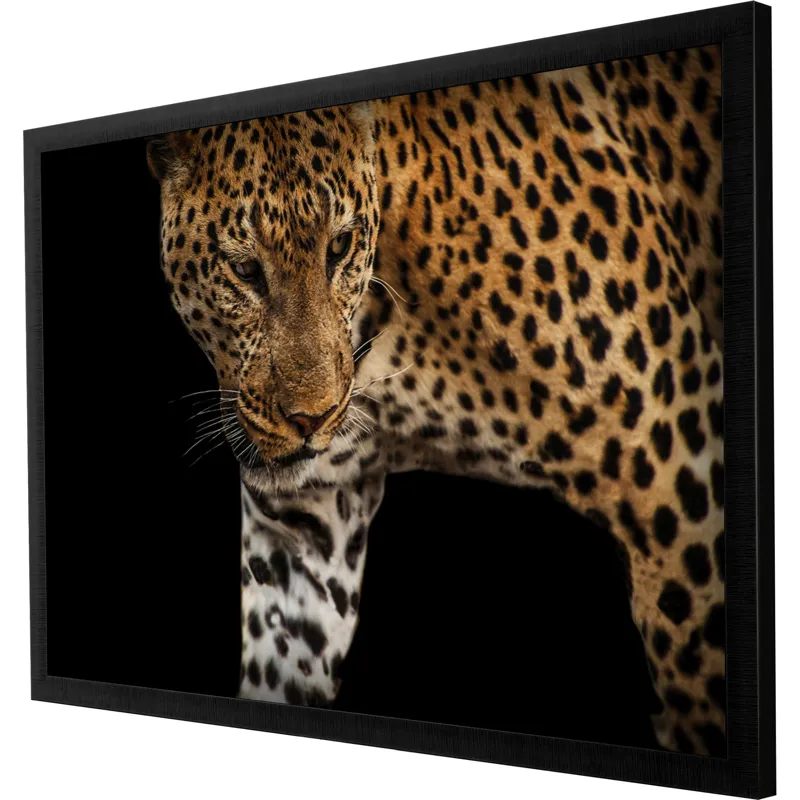 African Leopard - Stalk Framed Art