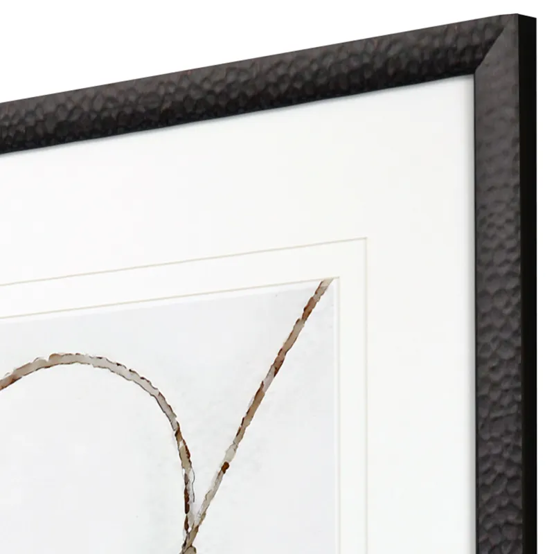 Lasso Framed Art