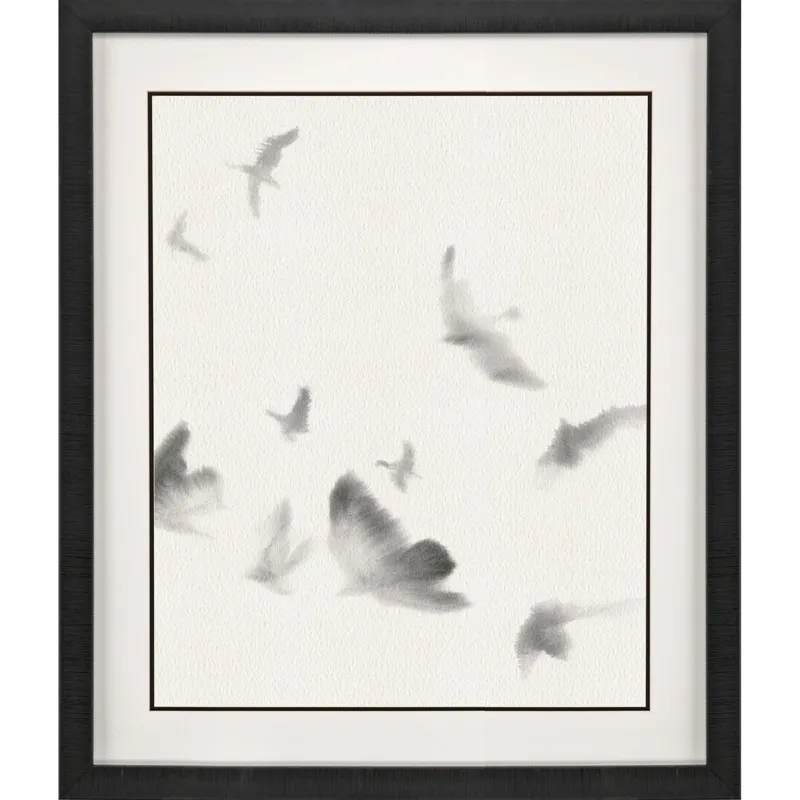 Birds in Flight - Swoop Framed Art