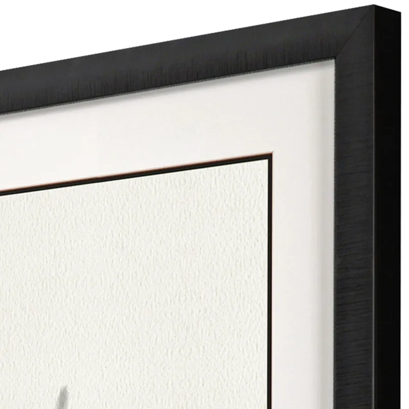Birds in Flight - Swoop Framed Art