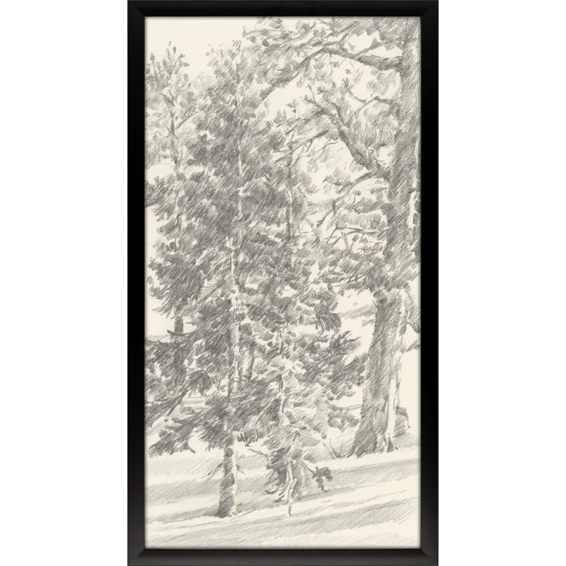 Tree Study II Framed Art