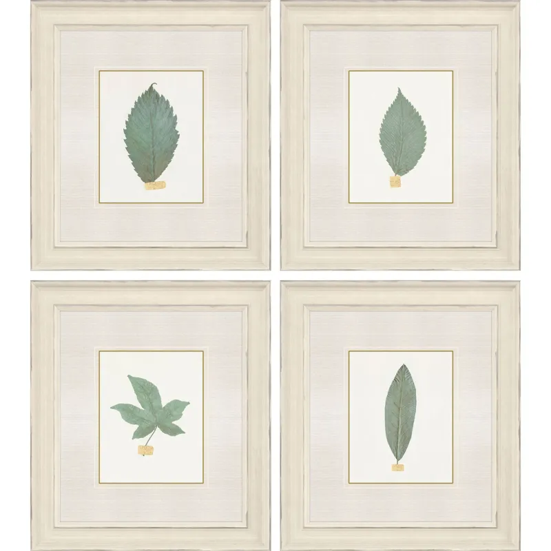 Leaf Adorned I S/4 Framed Art