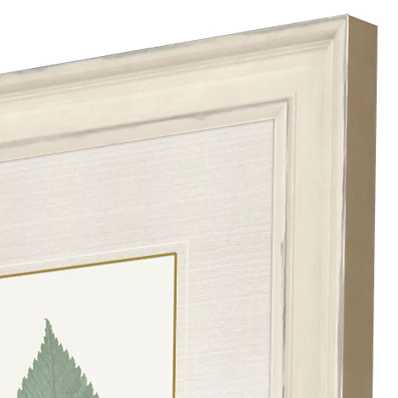 Leaf Adorned I S/4 Framed Art