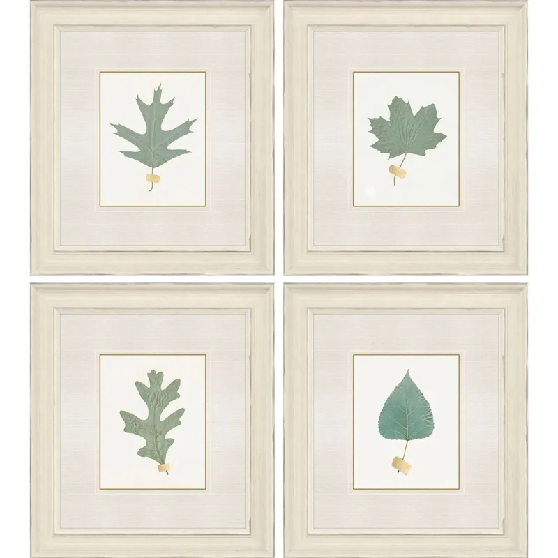 Leaf Adorned II S/4 Framed Art