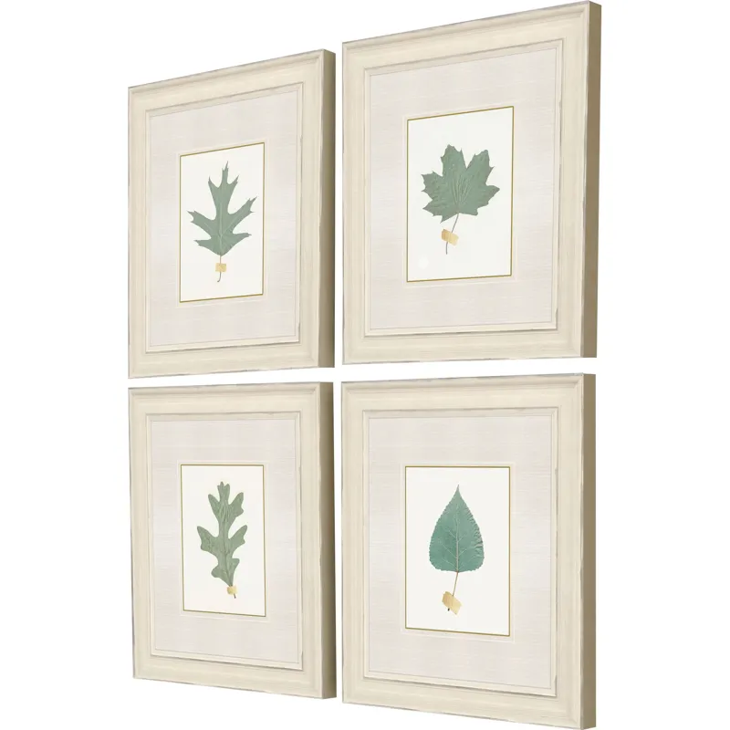 Leaf Adorned II S/4 Framed Art
