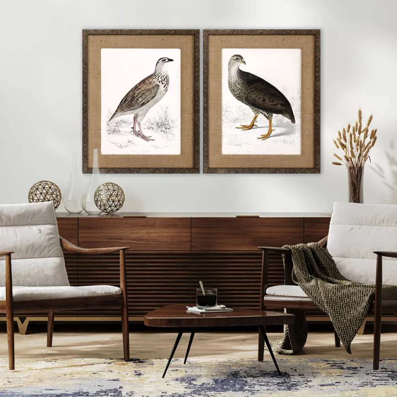 Francolinus Birds S/2 Framed Art