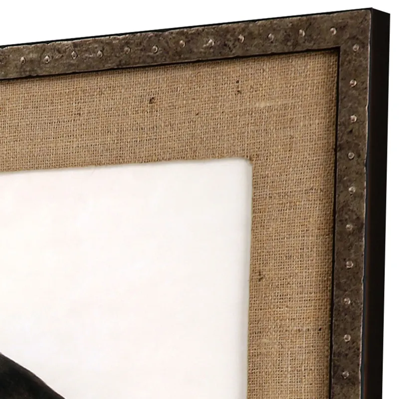Francolinus Birds S/2 Framed Art
